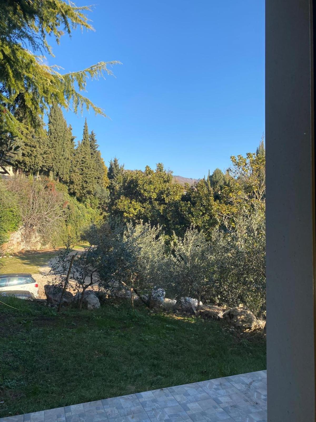 Agriturismo I Merli Сант'Амброджо-ді-Вальполічелла Екстер'єр фото